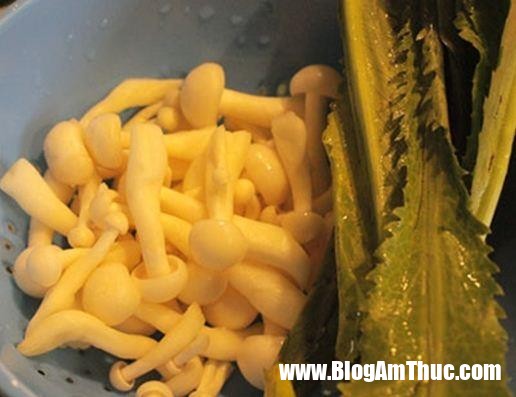 bap cai xao dau phu va nam 330 Chế biến món ăn chay với bắp cải xào đậu phụ và nấm lạ miệng