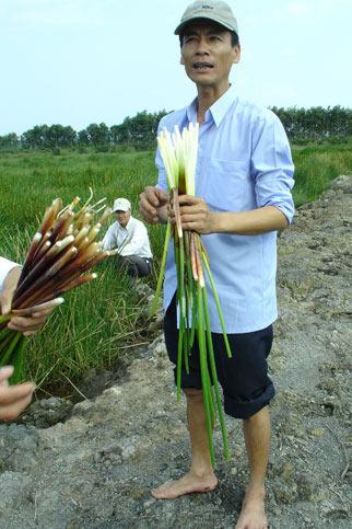 322 483 ru nhau an nan 3a8d Rủ nhau về quên ăn năn