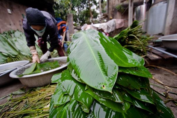 600 400 ga luoc banh chung xanh ngon cung can meo f2f7 Mẹo để bạn làm gà luộc, bánh chưng xanh ngon hơn