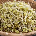 1435663901-soybeansprouts-590x422